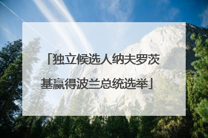 独立候选人纳夫罗茨基赢得波兰总统选举