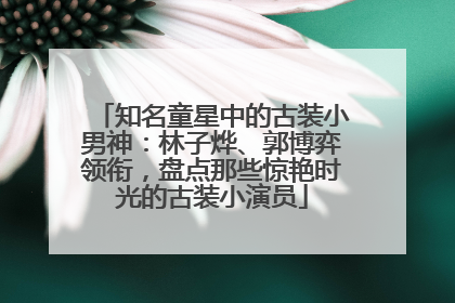 知名童星中的古装小男神：林子烨、郭博弈领衔，盘点那些惊艳时光的古装小演员
