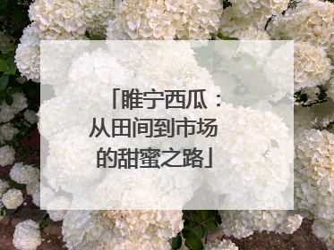 睢宁西瓜：从田间到市场的甜蜜之路