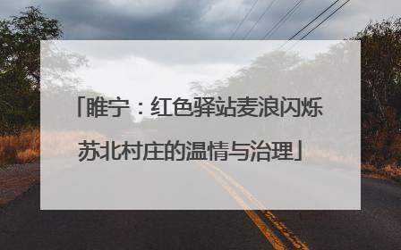 睢宁：红色驿站麦浪闪烁 苏北村庄的温情与治理
