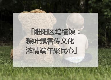 睢阳区坞墙镇：粽叶飘香传文化 浓情端午聚民心