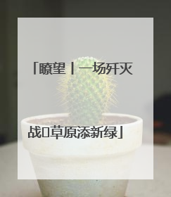 瞭望丨一场歼灭战 草原添新绿