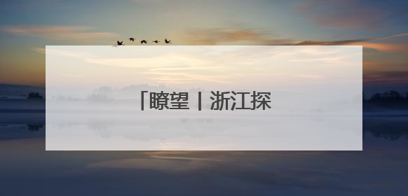 瞭望丨浙江探路高效能治理