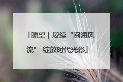 瞭望｜赓续“闽海风流” 绽放时代光彩