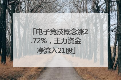 电子竞技概念涨2.72%，主力资金净流入21股