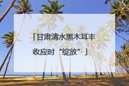 甘肃清水黑木耳丰收应时“绽放”