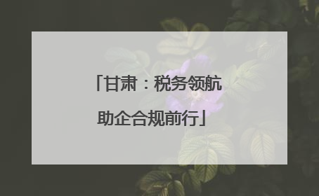 甘肃：税务领航 助企合规前行