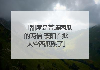 甜度是普通西瓜的两倍 襄阳首批太空西瓜熟了