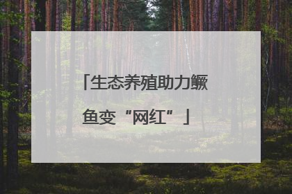 生态养殖助力鳜鱼变“网红”