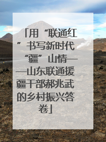 用“联通红”书写新时代“疆”山情——山东联通援疆干部郝兆武的乡村振兴答卷