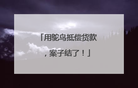 用鸵鸟抵偿货款，案子结了！