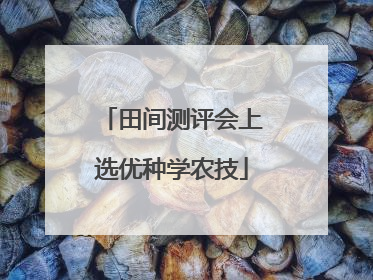 田间测评会上选优种学农技