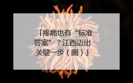 疼痛也有“标准答案”？江西迈出关键一步（图）