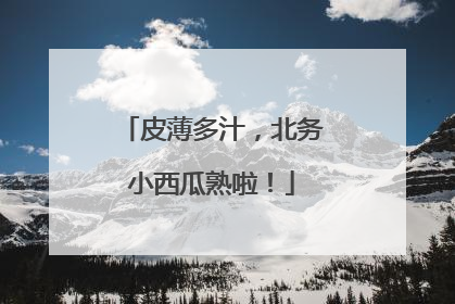 皮薄多汁，北务小西瓜熟啦！