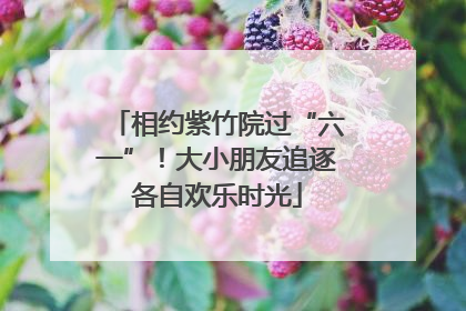 相约紫竹院过“六一”！大小朋友追逐各自欢乐时光