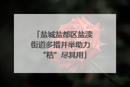 盐城盐都区盐渎街道多措并举助力“秸”尽其用