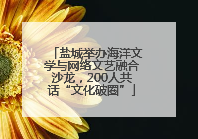 盐城举办海洋文学与网络文艺融合沙龙，200人共话“文化破圈”