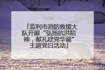 监利市消防救援大队开展“弘扬抗洪精神，献礼建党华诞”主题党日活动