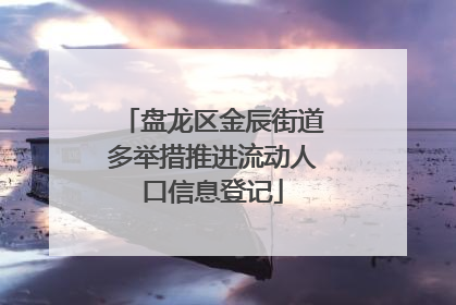 盘龙区金辰街道多举措推进流动人口信息登记