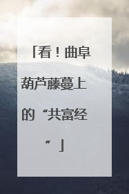 看！曲阜葫芦藤蔓上的“共富经”