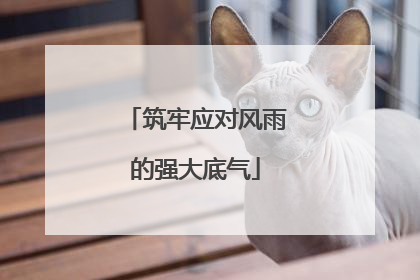筑牢应对风雨的强大底气