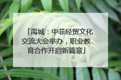 禹城：中菲经贸文化交流大会举办，职业教育合作开启新篇章