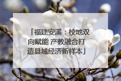 福建安溪：校地双向赋能 产教融合打造县域经济新样本