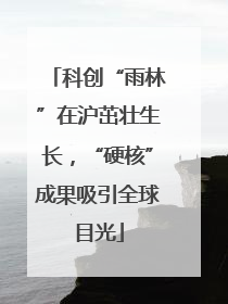 科创“雨林”在沪茁壮生长，“硬核”成果吸引全球目光