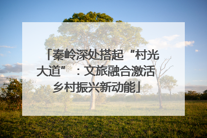 秦岭深处搭起“村光大道”：文旅融合激活乡村振兴新动能