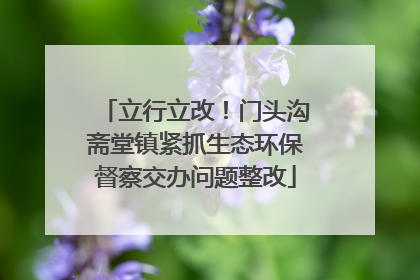 立行立改！门头沟斋堂镇紧抓生态环保督察交办问题整改