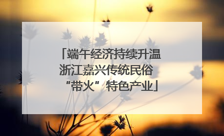 端午经济持续升温 浙江嘉兴传统民俗“带火”特色产业