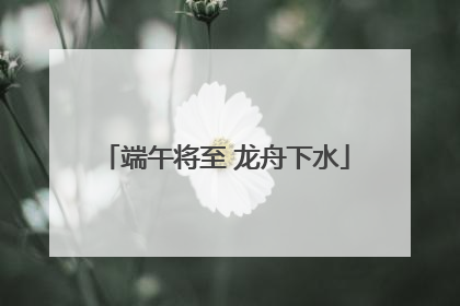 端午将至 龙舟下水