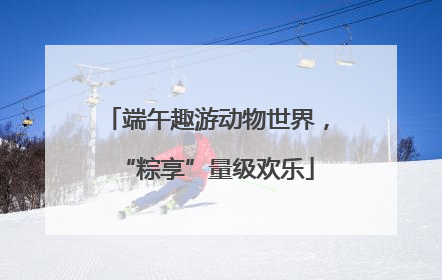 端午趣游动物世界，“粽享”量级欢乐