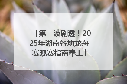 第一波剧透！2025年湖南各地龙舟赛观赛指南奉上
