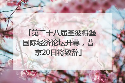 第二十八届圣彼得堡国际经济论坛开幕，普京20日将致辞