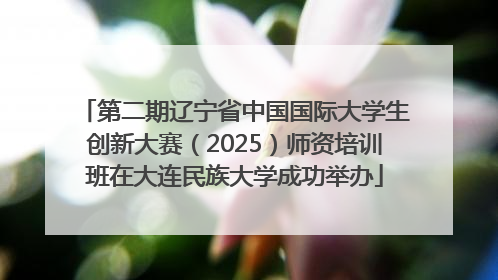 第二期辽宁省中国国际大学生创新大赛（2025）师资培训班在大连民族大学成功举办