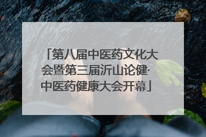 第八届中医药文化大会暨第三届沂山论健·中医药健康大会开幕