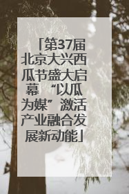 第37届北京大兴西瓜节盛大启幕 “以瓜为媒”激活产业融合发展新动能