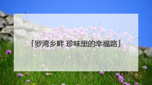 罗湾乡畔 珍味里的幸福路