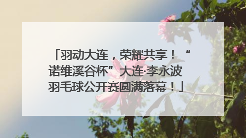 羽动大连，荣耀共享！“诺维溪谷杯”大连·李永波羽毛球公开赛圆满落幕！