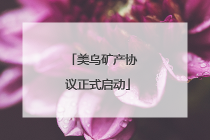 美乌矿产协议正式启动