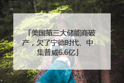 美国第三大储能商破产，欠了宁德时代、中集普威6.6亿