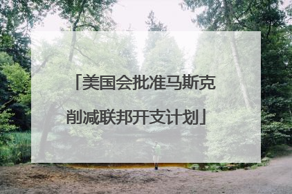 美国会批准马斯克削减联邦开支计划