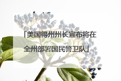 美国得州州长宣布将在全州部署国民警卫队