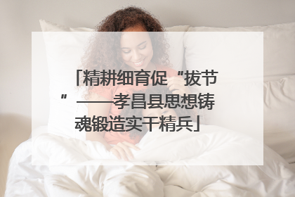 精耕细育促“拔节”——孝昌县思想铸魂锻造实干精兵