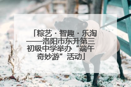 粽艺・智趣・乐淘——洛阳市东升第三初级中学举办“端午奇妙游”活动