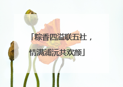 粽香四溢联五社，情满浦沅共欢颜