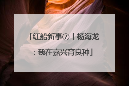 红船新事⑦丨杨海龙：我在嘉兴育良种