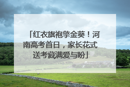 红衣旗袍擎金葵！河南高考首日，家长花式送考藏满爱与盼