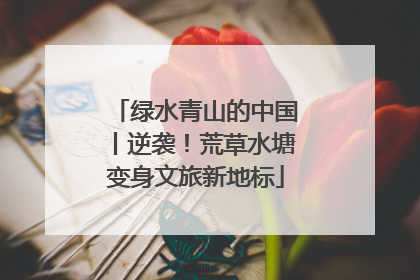 绿水青山的中国丨逆袭！荒草水塘变身文旅新地标